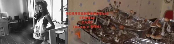 первитин Абинск