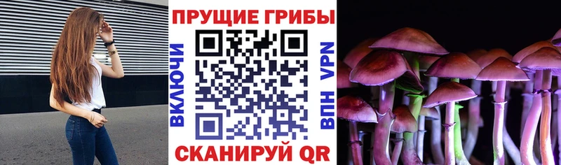 Псилоцибиновые грибы GOLDEN TEACHER  Шенкурск 